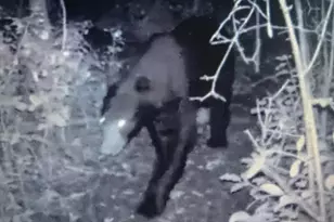 2732 State Hwy 9, Ada, MN 56510 - Photo 28