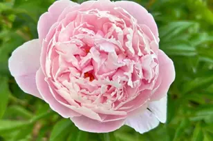 5330 Louisiana Ave N, Crystal, MN 55428 - Photo 28