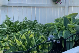 5330 Louisiana Ave N, Crystal, MN 55428 - Photo 26