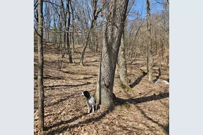 W13942 County Road B, Fairchild, WI 54741 - Photo 42