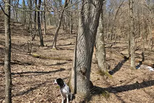 W13942 Co Rd B, Fairchild, WI 54741 - Photo 42