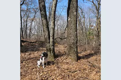 W13942 County Road B, Fairchild, WI 54741 - Photo 44