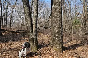 W13942 Co Rd B, Fairchild, WI 54741 - Photo 44