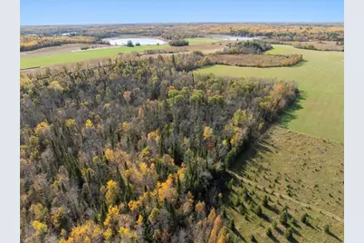 Tbd State 64, Akeley, MN 56433 - Photo 8