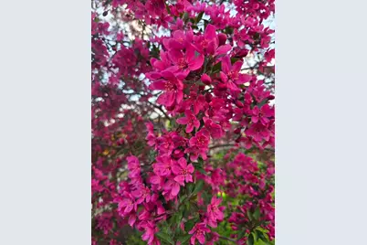 162 Sioux Street, Winona, MN 55987 - Photo 26