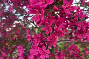 162 Sioux St, Winona, MN 55987 - Photo 26