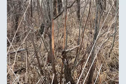 Tbd 190th Ave, Pelican Rapids, MN 56572 - Photo 2