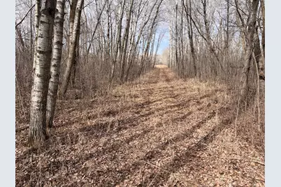 Tbd 190th Ave, Pelican Rapids, MN 56572 - Photo 6