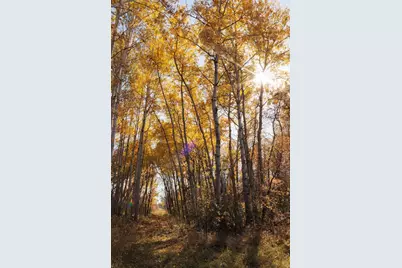 Tbd 190th Ave, Pelican Rapids, MN 56572 - Photo 12