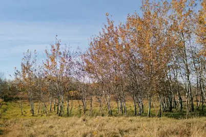 Tbd 190th Ave, Pelican Rapids, MN 56572 - Photo 28