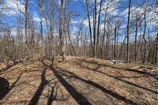 18958 Sugarbush Cir, Garrison, MN 56450 - Photo 22