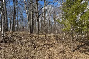 18958 Sugarbush Cir, Garrison, MN 56450 - Photo 26