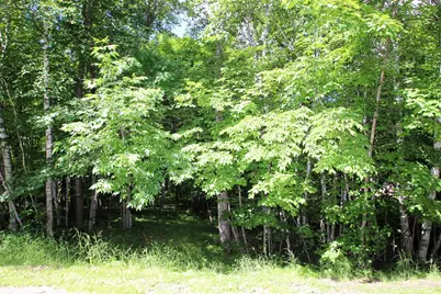 4967X Fish Lake Road, Pelican Rapids, MN 56572 - Photo 6