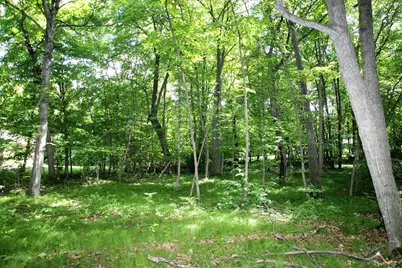 4967X Fish Lake Road, Pelican Rapids, MN 56572 - Photo 10