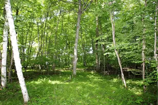 4967X Fish Lake Rd, Pelican Rapids, MN 56572 - Photo 1