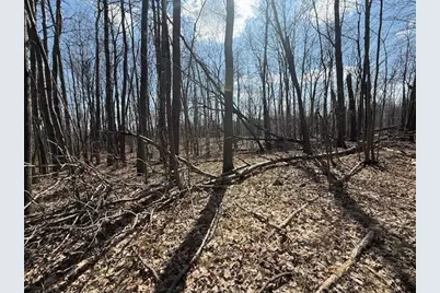 Xxx Old Highway 63, Barronett Township, WI 54871 - Photo 38