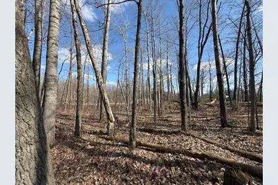 Xxx Old Highway 63, Barronett Township, WI 54871 - Photo 42