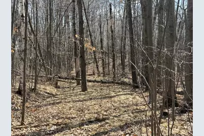 Xxx Old Highway 63, Barronett Township, WI 54871 - Photo 16