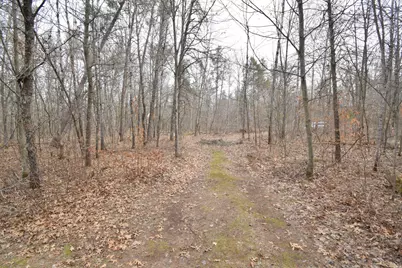 9274 Black Brook Road, Webster, WI 54893 - Photo 38