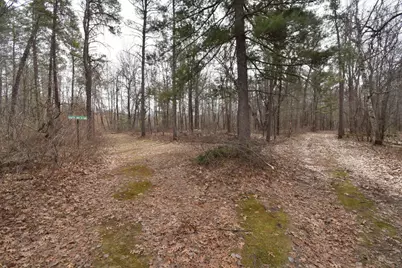 9274 Black Brook Road, Webster, WI 54893 - Photo 44