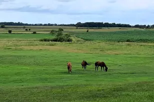 21497 120th St, Glenwood, MN 56334 - Photo 54