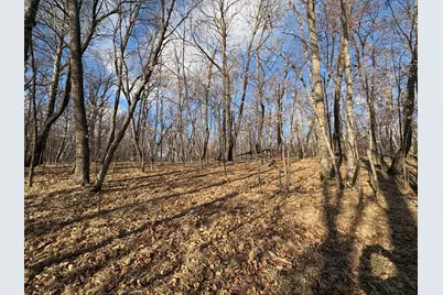 495Xx Fish Lake Rd, Pelican Rapids, MN 56572 - Photo 8