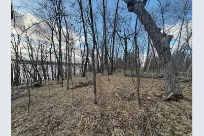 495Xx Fish Lake Rd, Pelican Rapids, MN 56572 - Photo 12