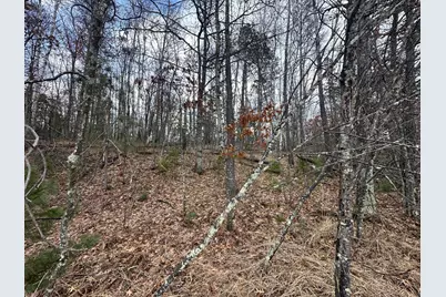 Tbd Dobosenski Road, Sturgeon Lake, MN 55783 - Photo 12