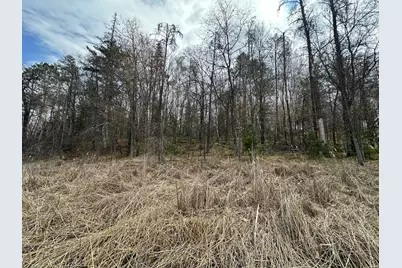 Tbd Dobosenski Road, Sturgeon Lake, MN 55783 - Photo 4