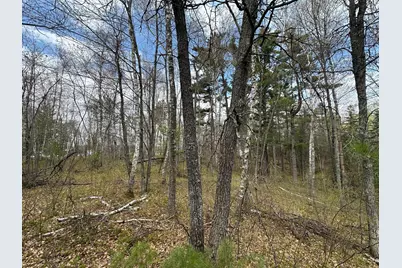 Tbd Dobosenski Road, Sturgeon Lake, MN 55783 - Photo 14
