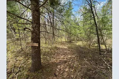Tbd Dobosenski Road, Sturgeon Lake, MN 55783 - Photo 10