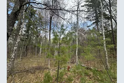 Tbd Dobosenski Road, Sturgeon Lake, MN 55783 - Photo 12