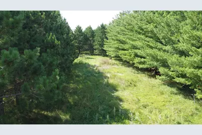 49936 County Highway 54, New York Mills, MN 56567 - Photo 38