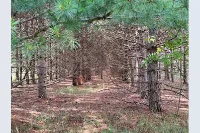 49936 County Highway 54, New York Mills, MN 56567 - Photo 40