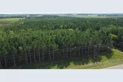 49936 County Highway 54, New York Mills, MN 56567 - Photo 28