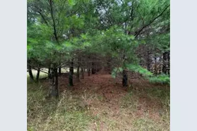 49936 County Highway 54, New York Mills, MN 56567 - Photo 22