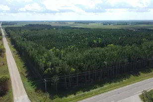 49928 Co Hwy 54, New York Mills, MN 56567 - Photo 1