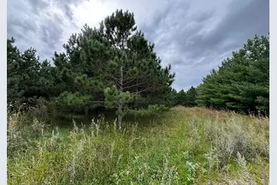 49928 County Highway 54, New York Mills, MN 56567 - Photo 34