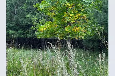 49928 County Highway 54, New York Mills, MN 56567 - Photo 32