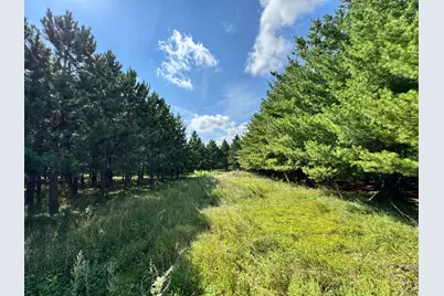 49928 County Highway 54, New York Mills, MN 56567 - Photo 16