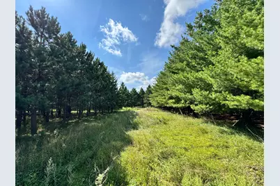 49928 County Highway 54, New York Mills, MN 56567 - Photo 16