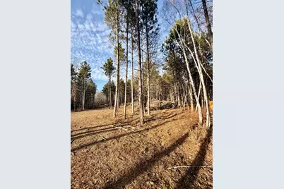 Tbd 64th Street SW, Pequot Lakes, MN 56472 - Photo 16