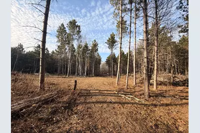 Tbd 64th Street SW, Pequot Lakes, MN 56472 - Photo 18