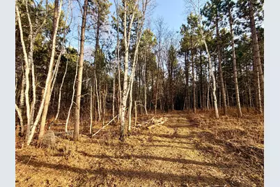 Tbd 64th Street SW, Pequot Lakes, MN 56472 - Photo 2