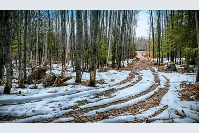 Parcel 12 Tbd Hwy 115, Tower, MN 55790 - Photo 6