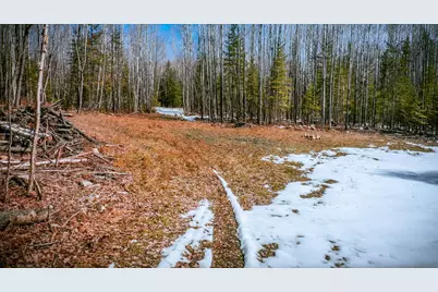 Parcel 12 Tbd Hwy 115, Tower, MN 55790 - Photo 8