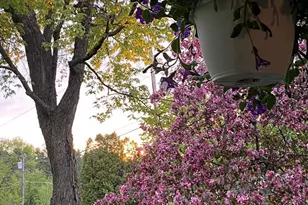 402 3rd St, Cloquet, MN 55720 - Photo 38