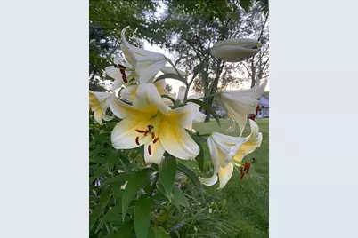 402 3rd Street, Cloquet, MN 55720 - Photo 34