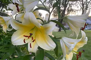 402 3rd St, Cloquet, MN 55720 - Photo 34