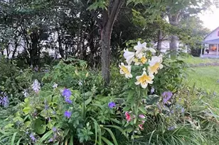 402 3rd St, Cloquet, MN 55720 - Photo 44